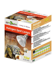 Reptizoo 50w Halogeen Vleklamp Reptizoo - 1 2