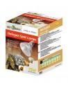 Reptizoo 50w Halogeen Vleklamp Reptizoo - 2
