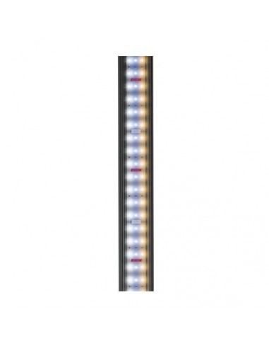 Rampe Power LED+ Fresh Plants Eheim EHEIM - 1