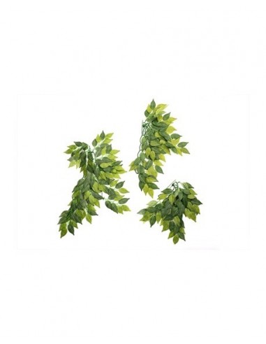 Banyan Leaves 50cm Reptizoo Reptizoo - 1