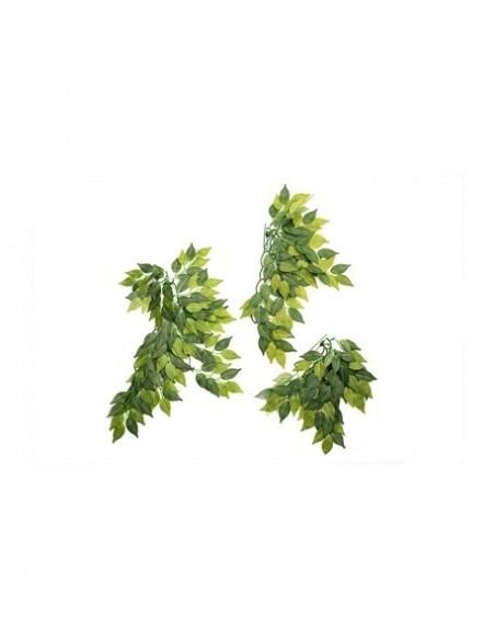 Banyan Leaves 50cm Reptizoo Reptizoo - 1