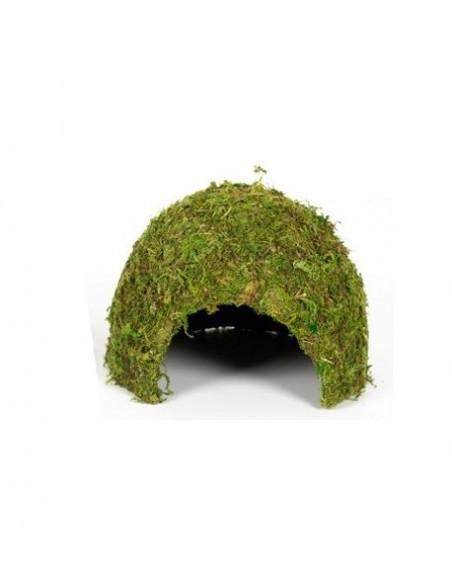 Dome Mousse Naturelle 23x23x18cm Reptizoo Reptizoo - 1
