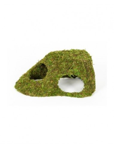 Dome Mousse Naturelle 25.5x14x11.5cm Reptizoo Reptizoo - 1