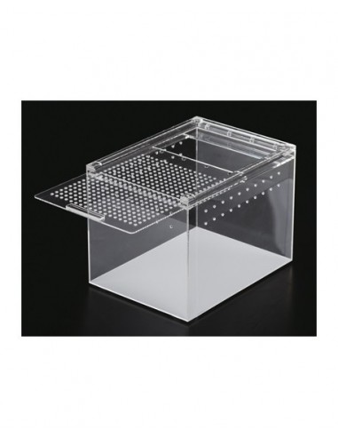 Terrarium Acrylique Transparent 20x15x15cm Reptizoo Reptizoo - 1