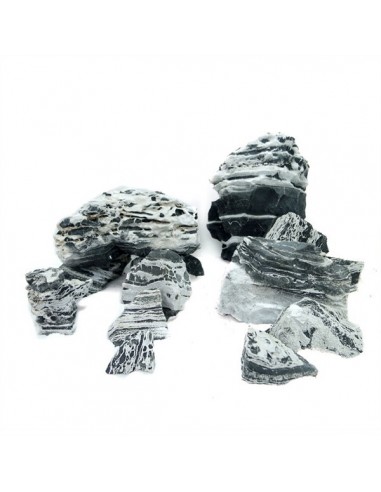 Leopard Stone AquaBota - 1
