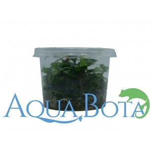 Sable de Quartz pour aquarium d'Aquael 2kg 0.4 à 1.2mm - Idéal