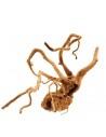 Legno Rode Houten Wortel 50 tot 70cm 1p AMTRA - 1