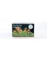 Deco Set Drakensteen voor aquarium 60l AQUA DECO - 1