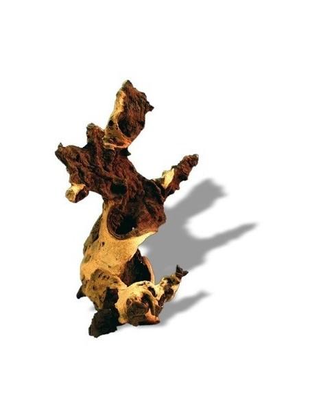 Mopani Wortel 30 tot 45cm 1p AMTRA - 1
