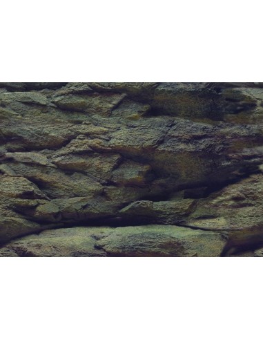 Achtergrondposter Steen/plant Aqua-NoVa - 3