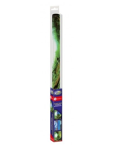Achtergrond Poster Planten/Oceaan Aqua-NoVa - 3