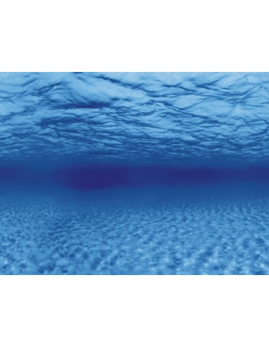 Achtergrond Poster Wortel/Water Aqua-NoVa - 2