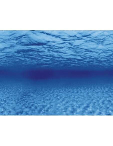 Poster de fond Racines/Eau Aqua-NoVa - 2