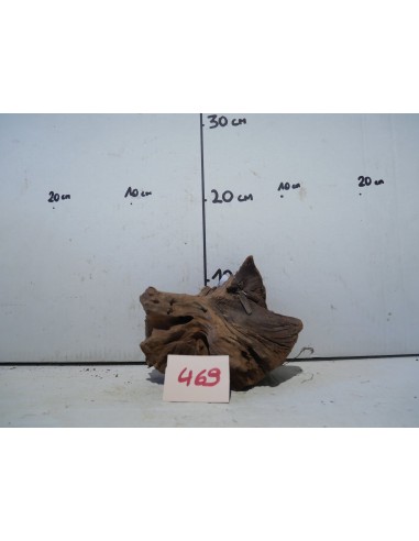 racine Driftwood 469  - 1