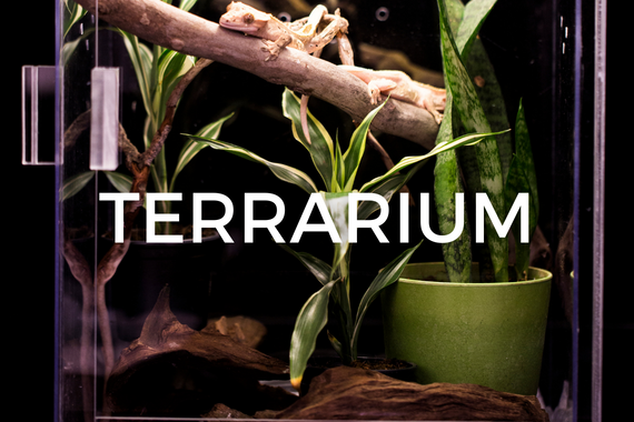 Tropica Aquarium Soil 3L sol nutritif pour plantes - Materiel-aquatique