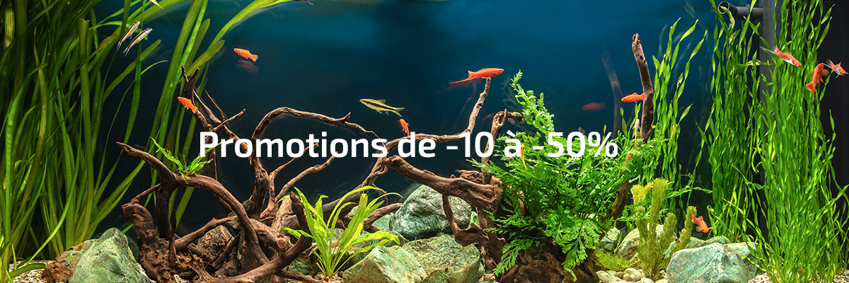 Promotions de -10 à -50%