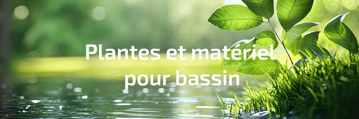 Plantes et matériel pour bassin