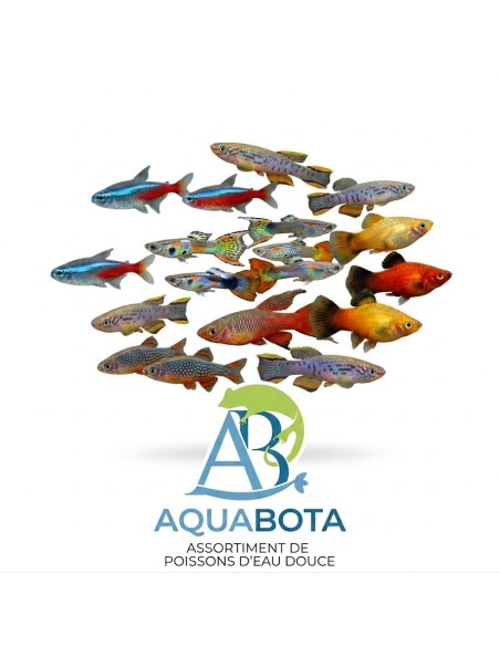 AquaBota fish