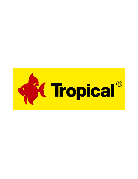 TROPICAL