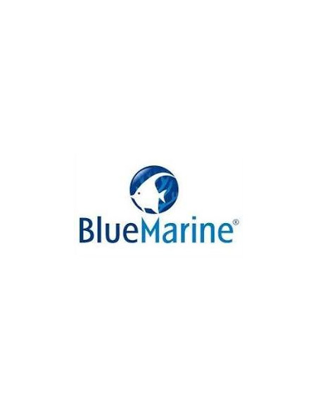 Blue Marine