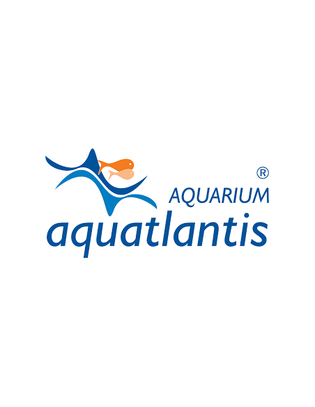 aquarium atlantis