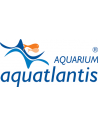 aquarium atlantis