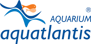 aquarium atlantis