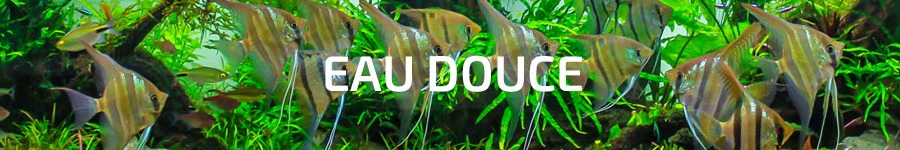 Eau douce